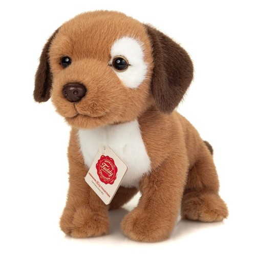 Teddy hermann hundewelpe - teddy,