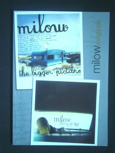 Milow the bigger picture - milow,